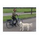 Hondenbeugel voor fiets met veer
